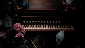 Musikalisch Literarischer Salon