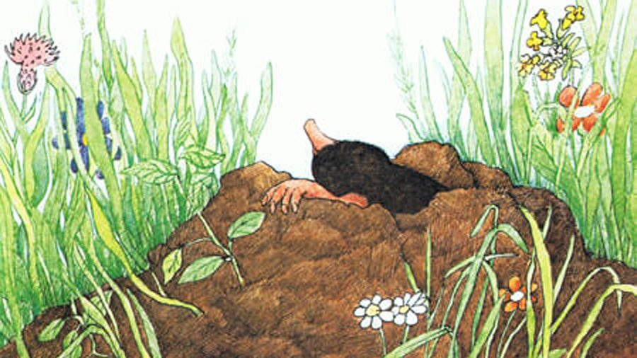 Der Maulwurf Grabowski