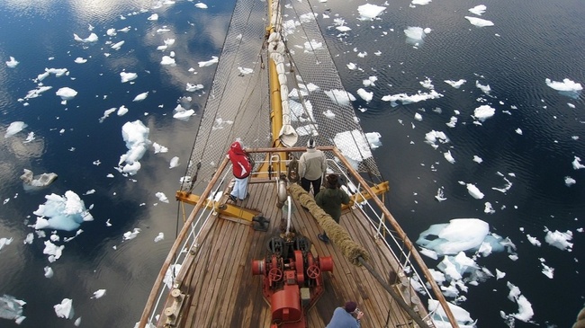 Auf Expedition mit einem Großsegler durch das Südpolarmeer