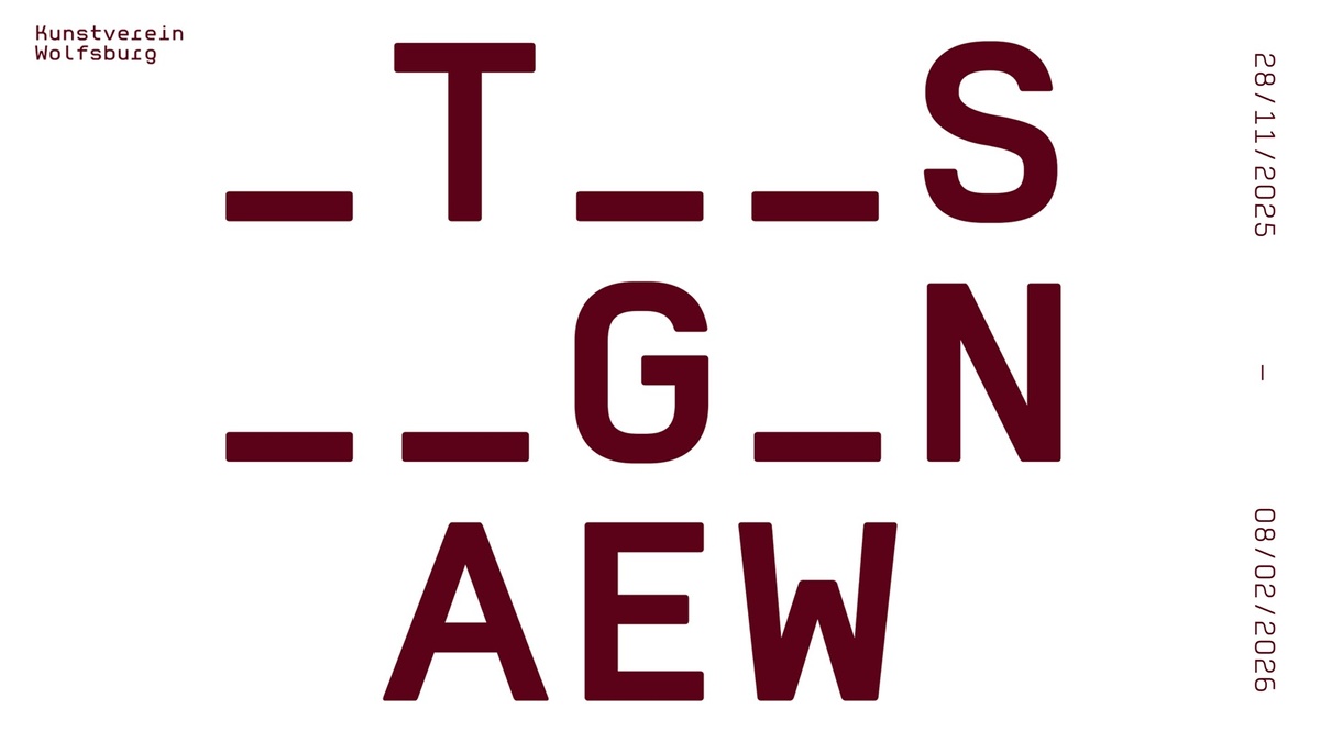 Ausstellung "etwas wagen"  – Klara Hobza, Frenzy Höhne, Pia vom Ende, Emil Wesemann