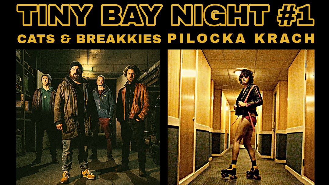 TINY BAY NIGHT #1 I CATS & BREAKKIES I PILOCKA KRACH