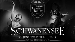 Schwanensee - Jenseits der Bühne - Live Streichquartett