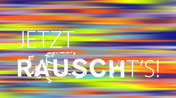 ökoRAUSCH Think Tank e.V.