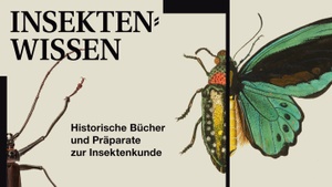 Vernissage: Insektenwissen. Historische Bücher und Präparate zur Insektenkunde