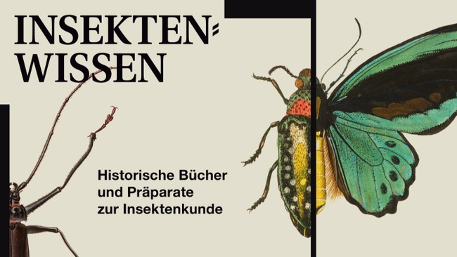 Vernissage: Insektenwissen. Historische Bücher und Präparate zur Insektenkunde