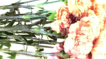 WOCHENMITTE w. Manu Strasse b2b Adron