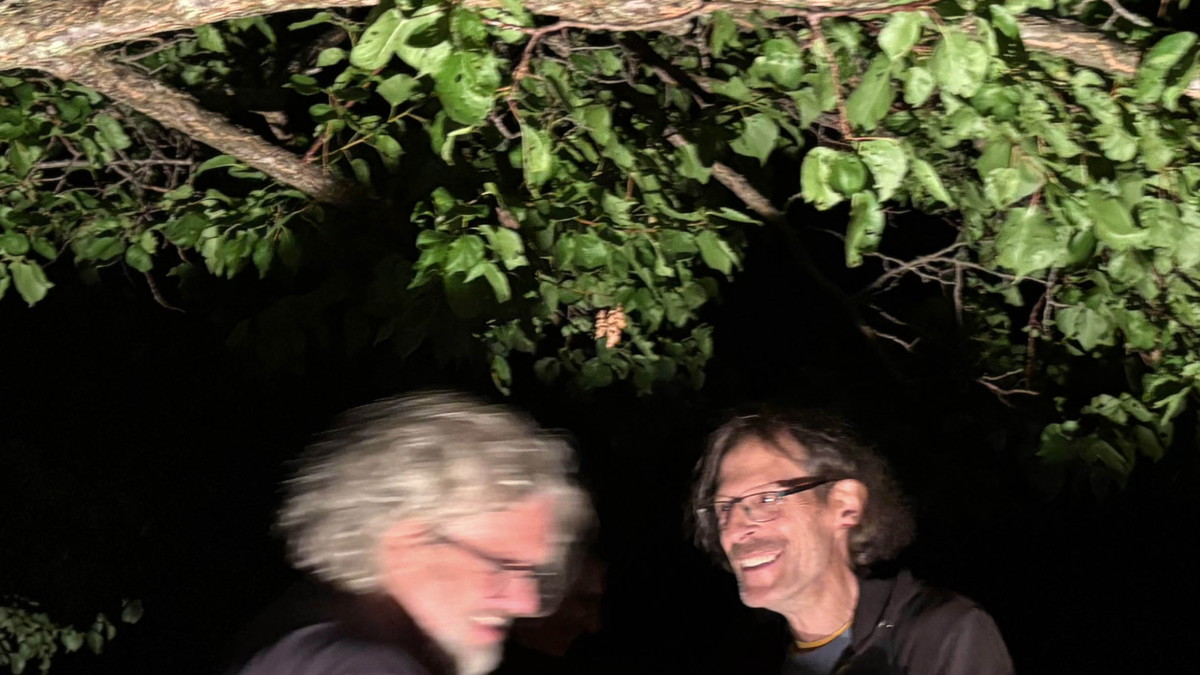 Titelbild der Veranstaltung reiheM präsentiert: Klangwart / Cheb Del Grande