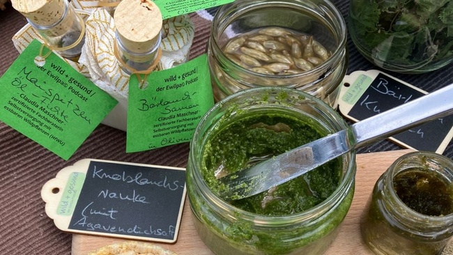 Essen von Bäumen – die Kraft der Nährstoffpumpen