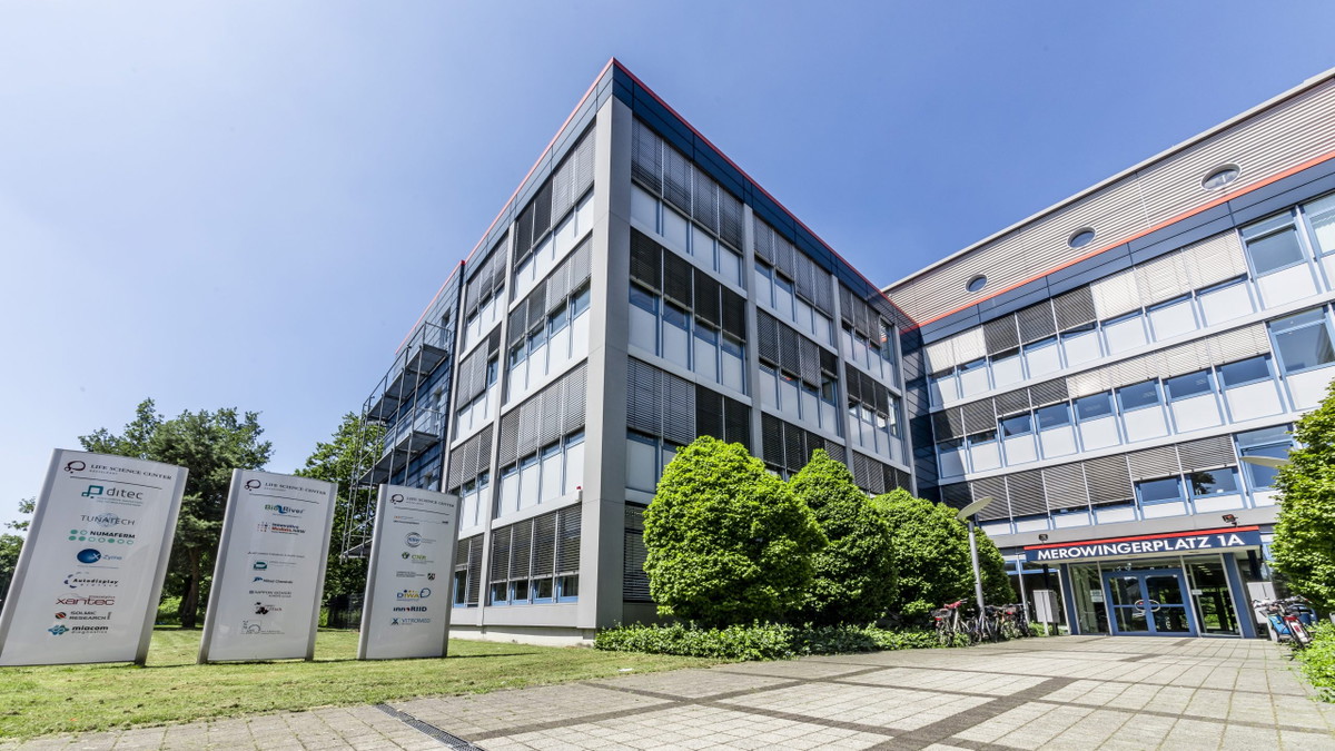 Förderprogramme für Startups und Unternehmen