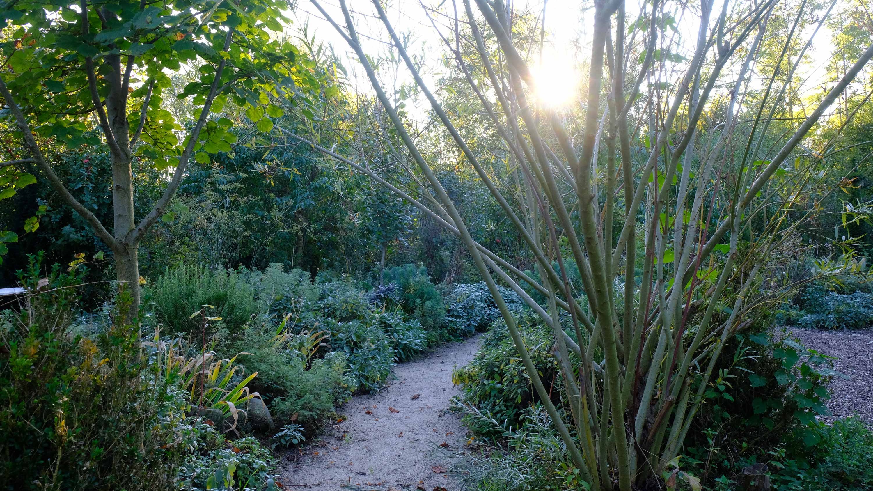 Führung "Naturgarten"