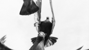 Museum Haus des Papiers: Fotofestival „Kommunikation und Haltung“ Standort Teufelsberg