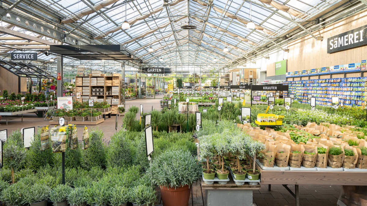 Quiz Night - Quizzen im Gartencenter