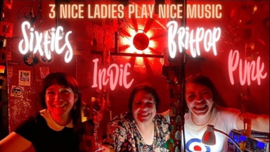 The Bumblebees - 3 Nice Ladies Play Nice Music
