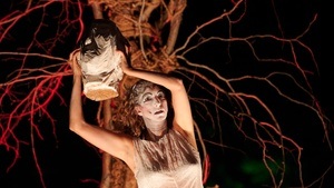 Anuversum: DER CLOWN UND DIE KRAFT DES TRICKSTERS
