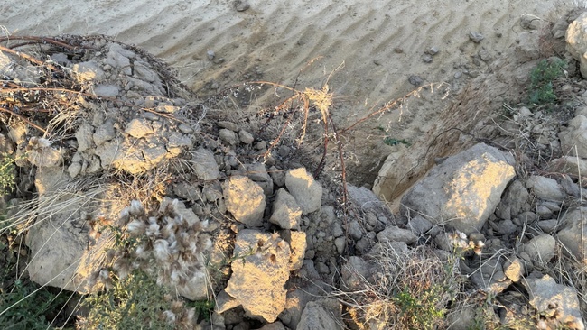 Vom Tagebau zur Seenlandschaft – Eine Bustour durchs Rheinische Revier und seine Zukunftserzählungen