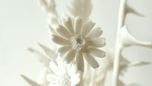 Porcelain miniature spring flowers
