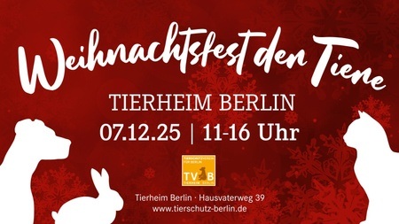 Weihnachtsfest der Tiere im Tierheim Berlin