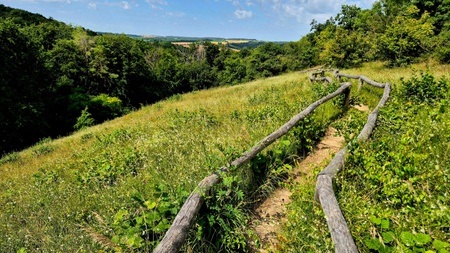 Wanderung: Auf den "Rödel" bei Freyburg (Unstrut)