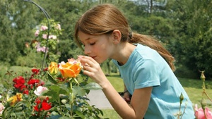 NEU Kinder-Rosariumstour