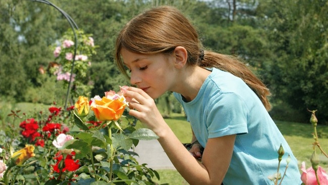 NEU Kinder-Rosariumstour