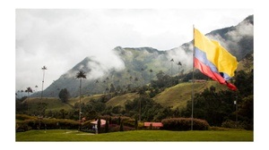Ausstellung: Colors of Colombia - JARO