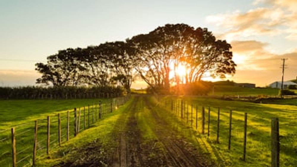Wein- und Obstbauführung