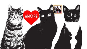 AMORE - Indieparty