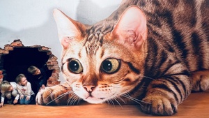 Die Illusionswelt Ausstellung in Oskarshausen (Freital)