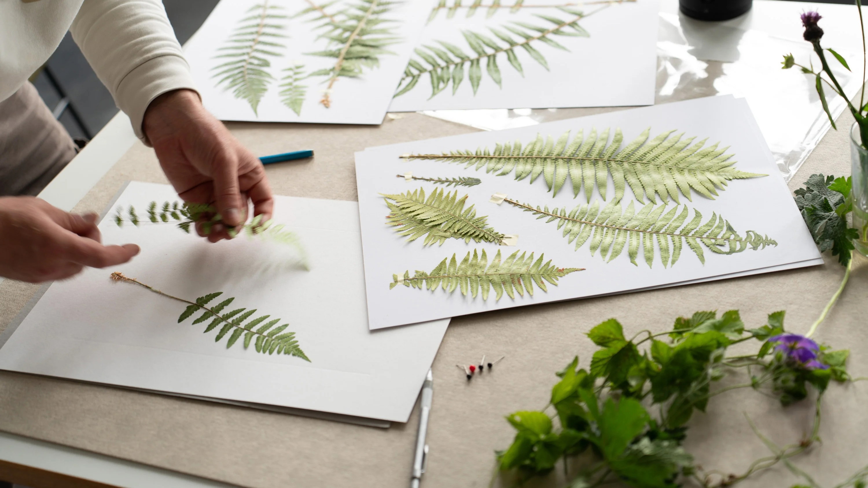 Botanic Design I Gestalte dein eigenes botanisches Kunstwerk aus unserem eigenen Herbarium auf edlem Papier