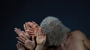 BEASTS & BODIES - Overhead Project