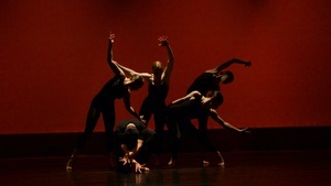 Nederlands Dans Theater – NDT 2