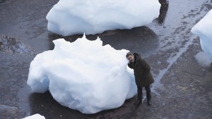 Klima, Krise, Kunst (Dokumentarfilm mit Expertengespräch)