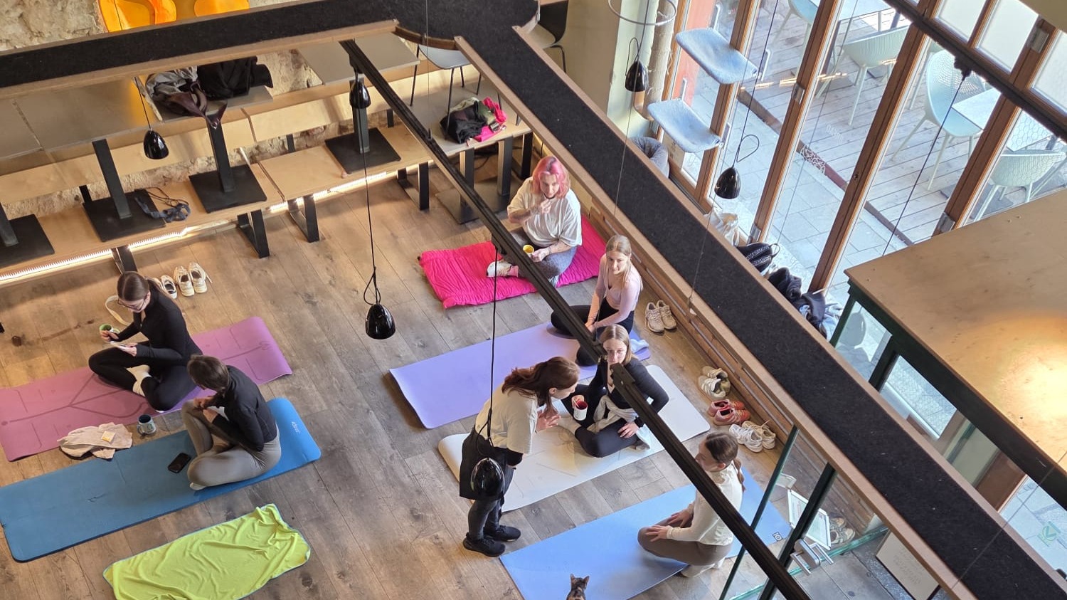 Yoga und Brunch im Katzentempel Regensburg