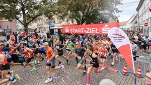 31. Durlacher Turmberglauf