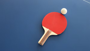 pingpongsonntag