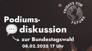 Fridays for Future: Podiumsdiskussion zur Bundestagswahl