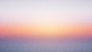 Werkleitz Festival 2026 Früher oder Später