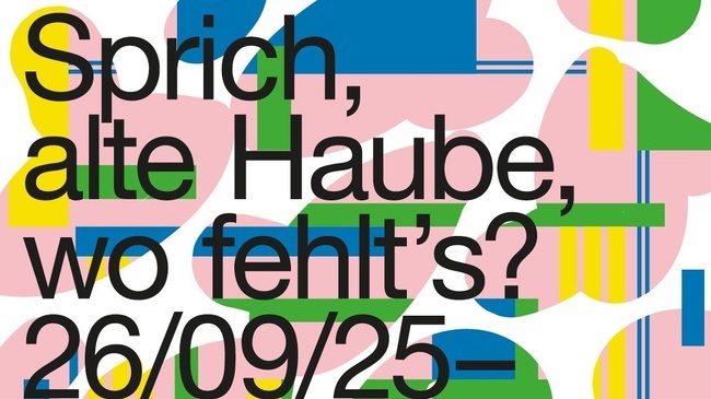 Sprich, alte Haube, wo fehlt’s? - Öffentlicher Rundgang