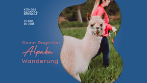 Come Dogether: Alpaka Wanderung