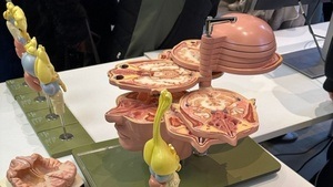 Brain Awareness Week | Pop-up Ausstellung & Vorträge