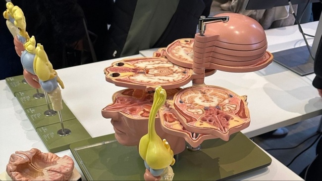 Brain Awareness Week | Pop-up Ausstellung & Vorträge