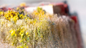 Workshop: Wassereis und Farbe