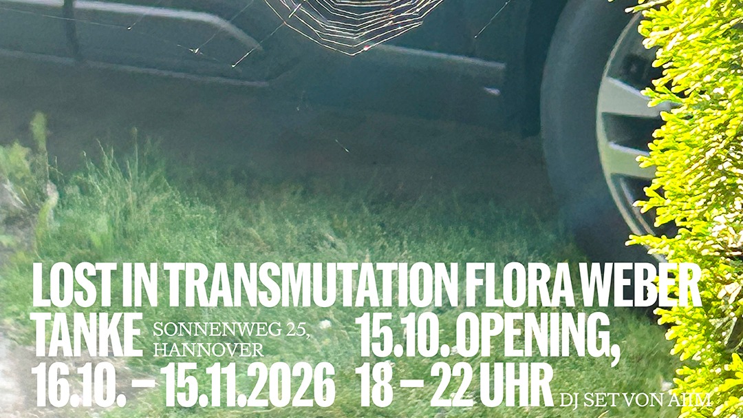 Lost in Transmutation - Flora Weber