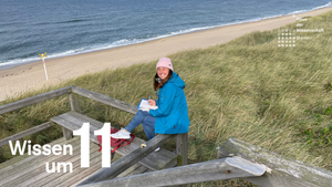 Wissen um 11: Schweinswale in der Nordsee