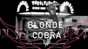 Blonde Cobra 2025