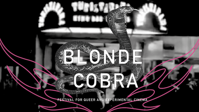 Blonde Cobra 2025