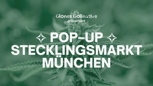 POP–UP STECKLINGSMARKT MÜNCHEN 2025