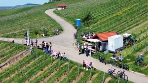 Wein/Weit/Blick - Genuss im Weinberg