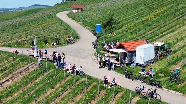 Wein/Weit/Blick - Genuss im Weinberg