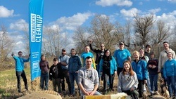 Cleanup Ölgangsinsel